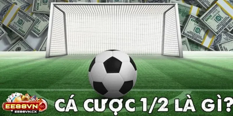 Kèo Chấp 1/2 Là Sao - Tỷ Lệ Kèo Hấp Dẫn Nhất Mọi Thời Đại Kèo chấp 1/2 là sao