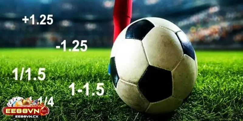 Kèo Chấp 1 1/4 Là Gì - Góc Nhìn Mới Về Một Tỷ Lệ Cân Não Kèo Chấp 1 1/4